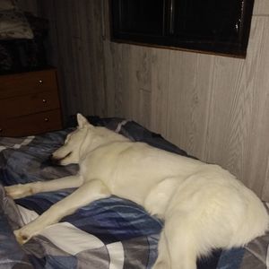 Meet your Posher, Paul